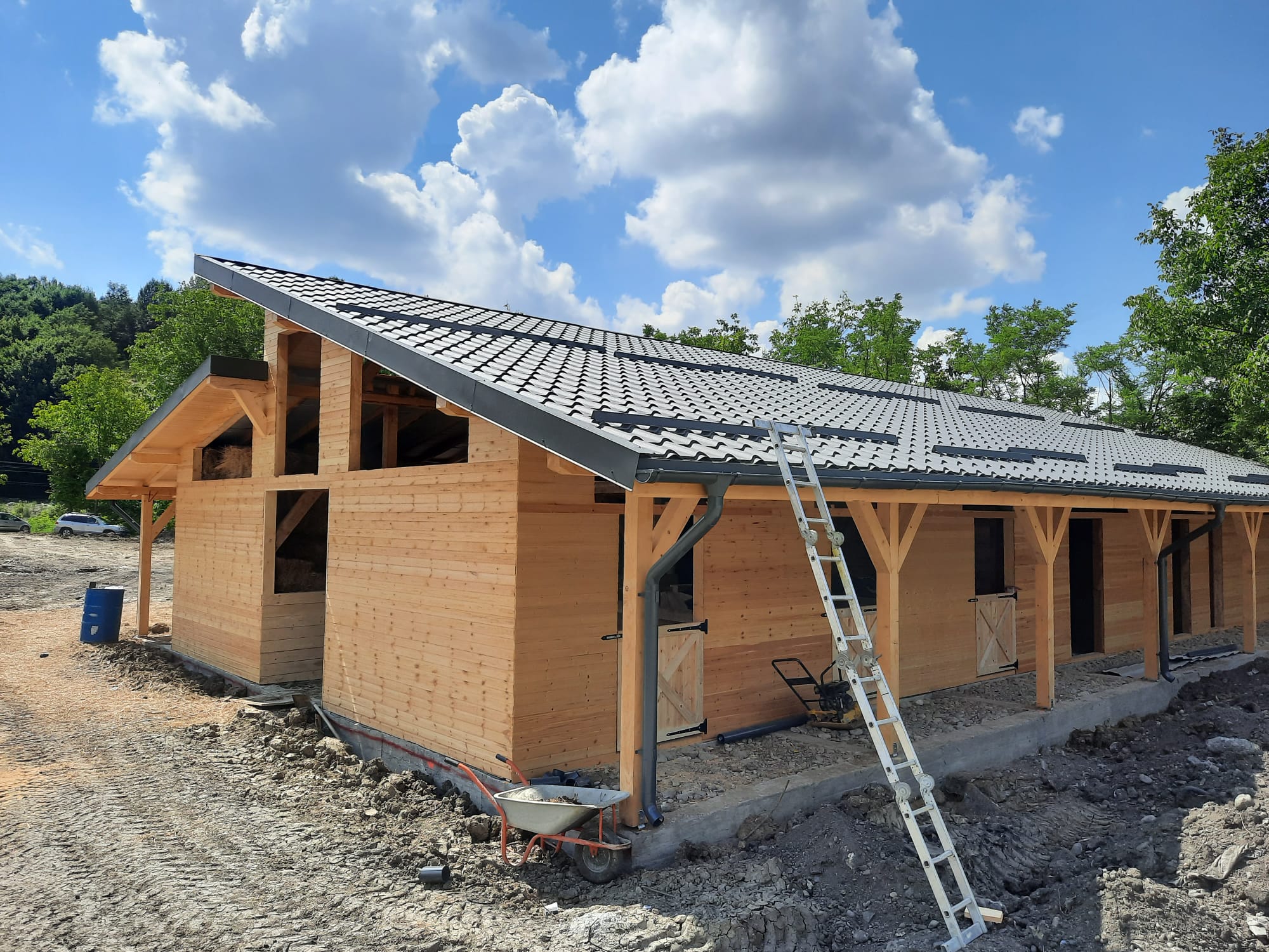 WhatsApp Image 2023 11 03 at 11.23.39 AM 5